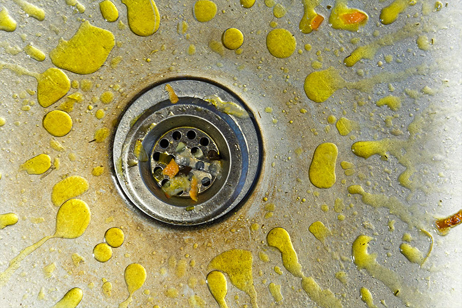 Yellow drops of grease sitting in a kitchen sink in Springfield, IL that was recently poured down the drain and making the drain clogged.