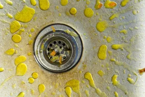 grease in drain and sink in Decatur, IL
