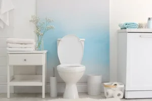 Sewer & Septic Specialist—A modern bathroom in Decatur, IL, with a toilet in the center.